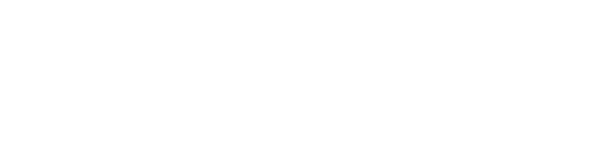Cargo Trans Logistics